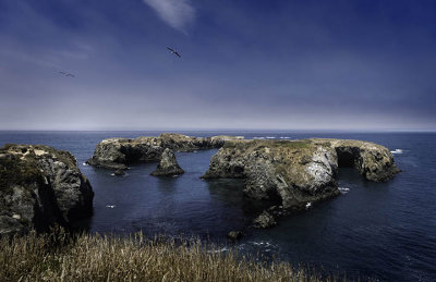 At the Mendocino Headlands