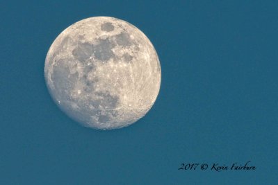 Moon April 8 2017 - 7:12:00 pm