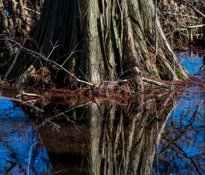 cypress edges 