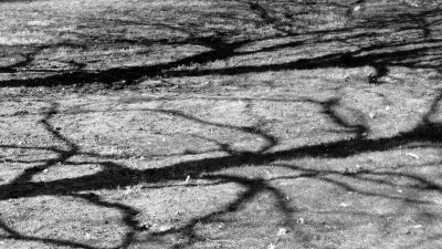 Casting Shadows