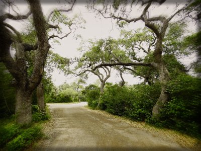 haunted lane