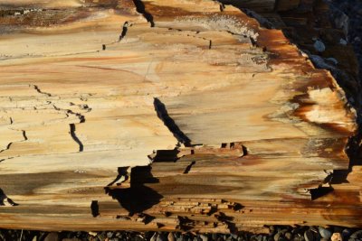 Wood or Rock?