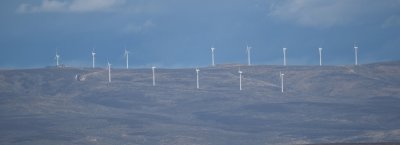 Wildhorse Wind Farm 