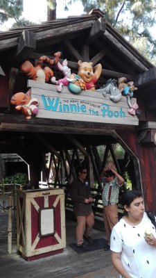 IMG_20170610_170953.jpg