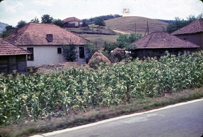 10-5_Yugoslavian Corn and Cottages.jpg