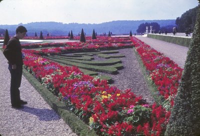 16-32_Gardens at Versailles.jpg