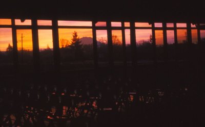 34_Sunrise from Lakewood Church.jpg