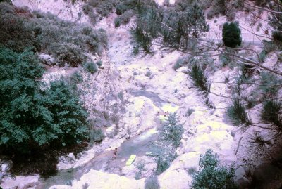 IMG_20170708_0013.jpg