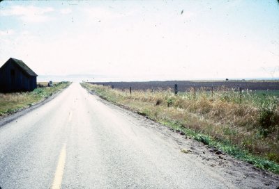 13_Summer 1978.jpg