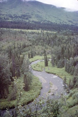 5_Resurrection Creek_August 1979.jpg