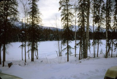2_Winter at Birchwood_February 1973.jpg