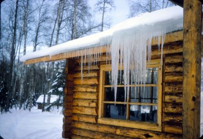3_Icicles at Birchwood_February 1973.jpg
