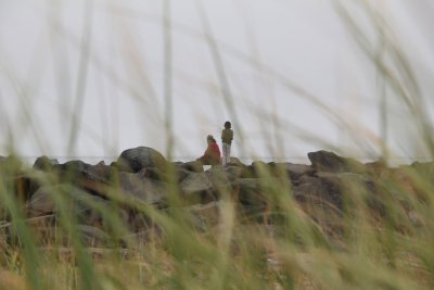 14_North Jetty.jpg