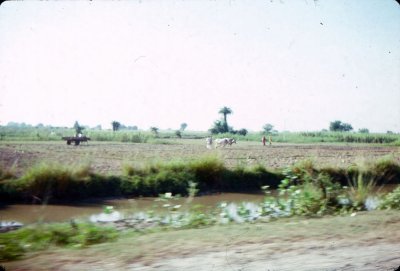 17_Fields of India_October 1974.jpg