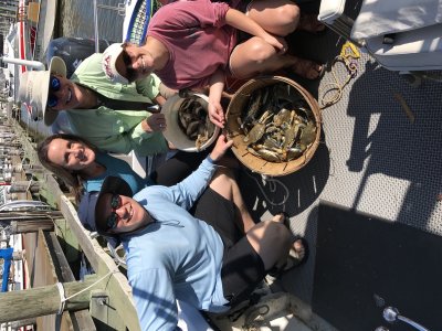 Chesapeake Crabbing