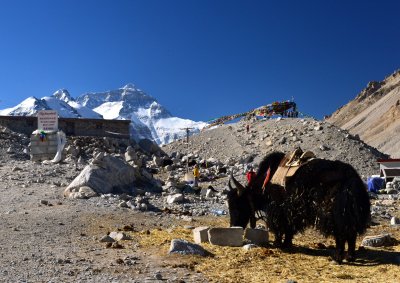 Mount Qomolangma (Mt Everest) Base Camp