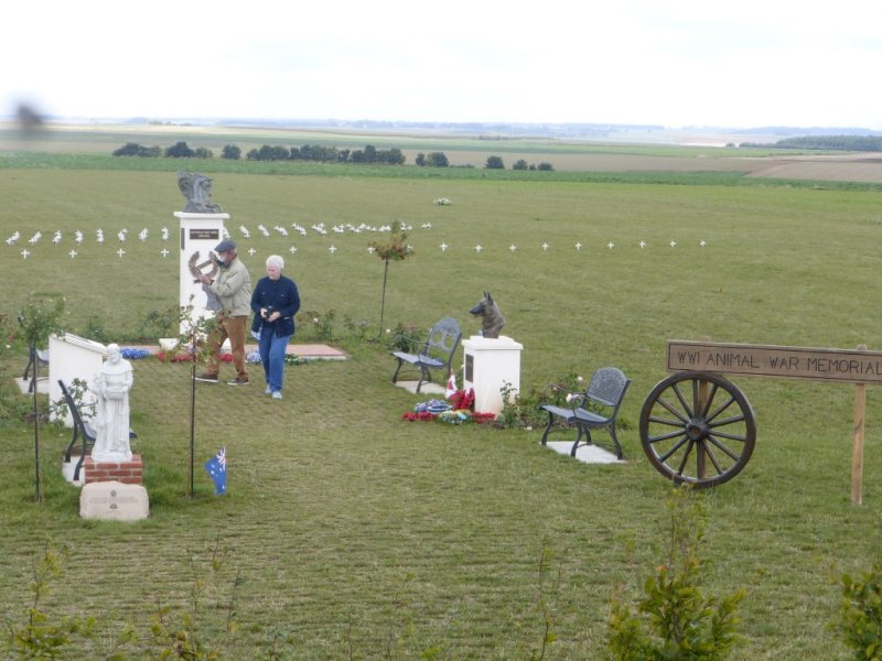 Pet Memorial