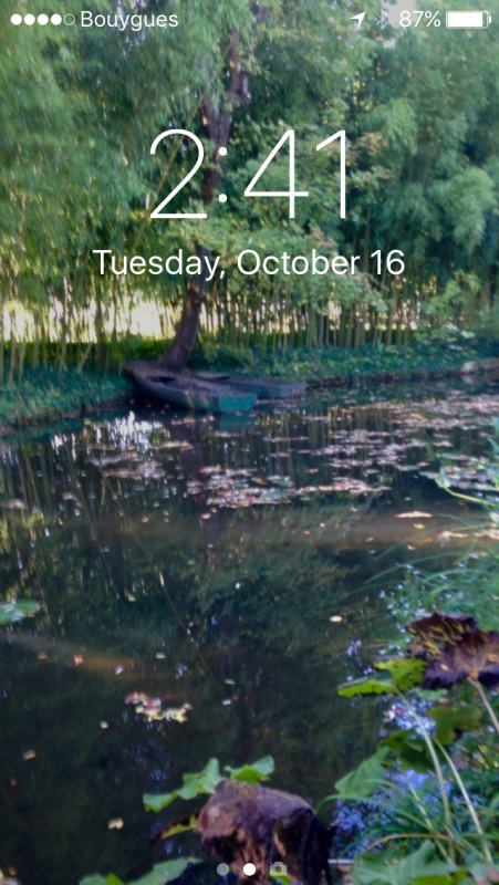 Waterlilies- Bobs phone