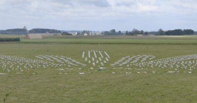 Australian cemetery graves arranged in windmill configuration.JPG