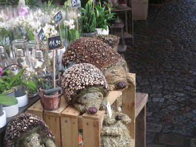 Hedgehogs at flower shop