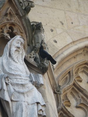 Saint and bird