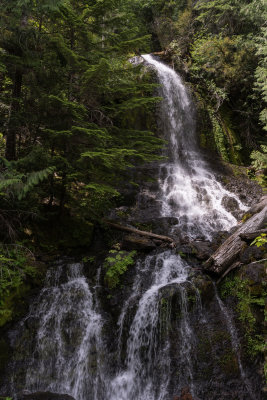 Roadside falls in Mt. Rainier National Park