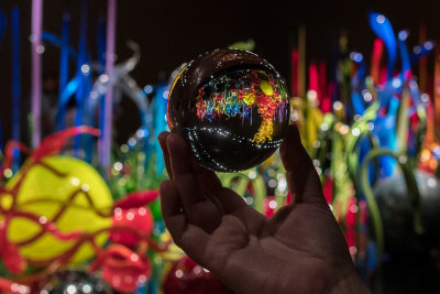 I was very happy with my Lensball pics in the gallery