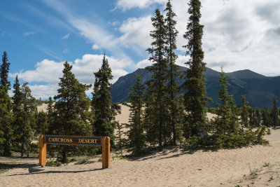 We stopped at the Carcross desert , said to be the smallest in the world