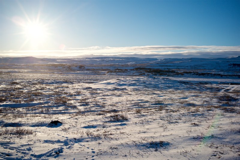 M1003824.jpg