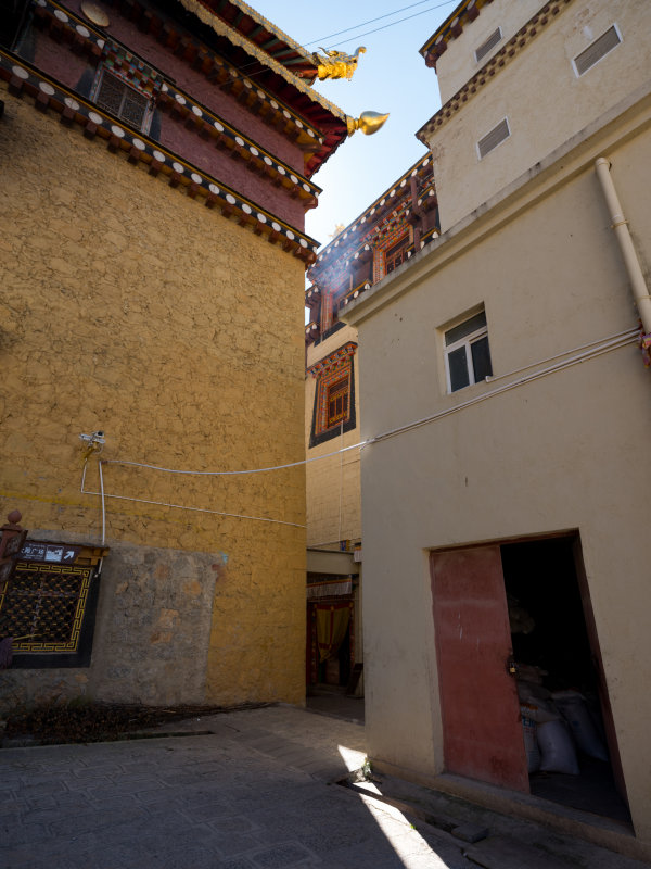 DSCF0570.jpg