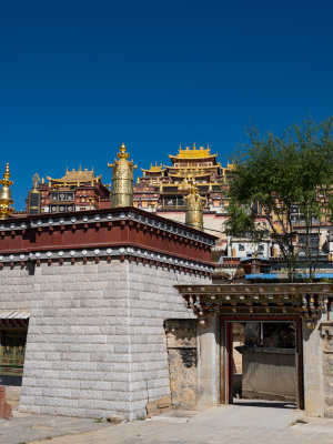 DSCF0528.jpg