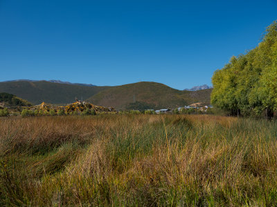 DSCF0538.jpg