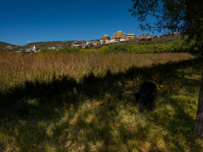 DSCF0539.jpg