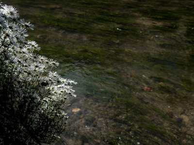 DSCF0667.jpg