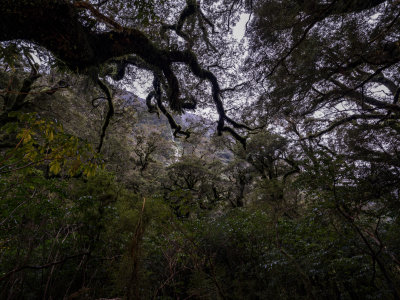 DSCF2213.jpg