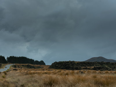 DSCF2242.jpg