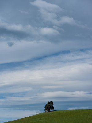 Lake Tekapa to Kaikoura to Picton