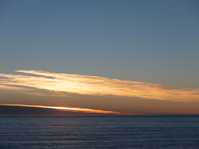 DSCF2695.jpg