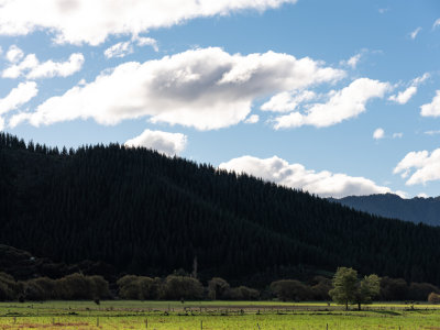 Lake Tekapa to Kaikoura to Picton
