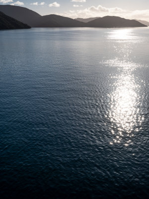 DSCF2795.jpg