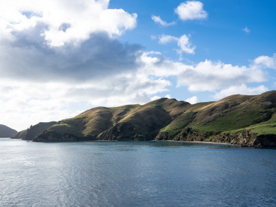 DSCF2836.jpg