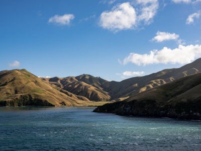 DSCF2845.jpg