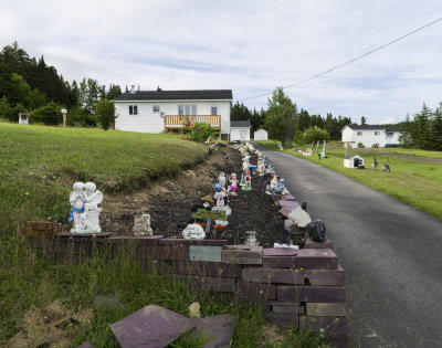 20160724-2912 Burgoynes Cove NL.jpg