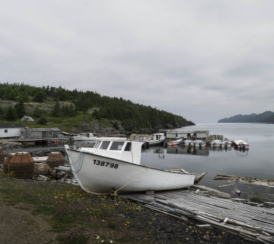 20160725-2920 Princeton NL.jpg