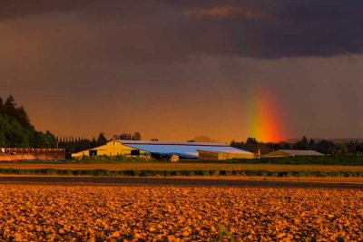 CookRdRainbow051417.jpg