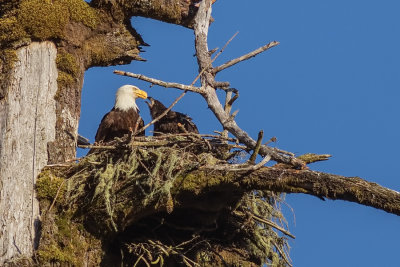 EagleNestRckprtStPrk2_071317.jpg