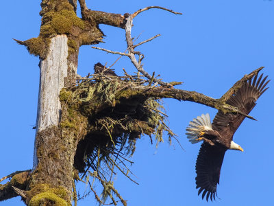EagleNestRckprtStPrk071617.jpg
