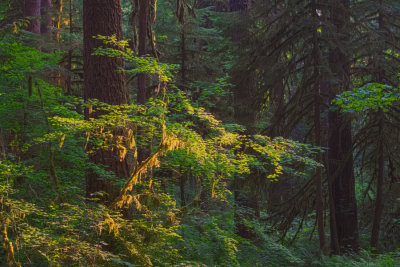 RckprtStPrk1_080917_HDR2.jpg