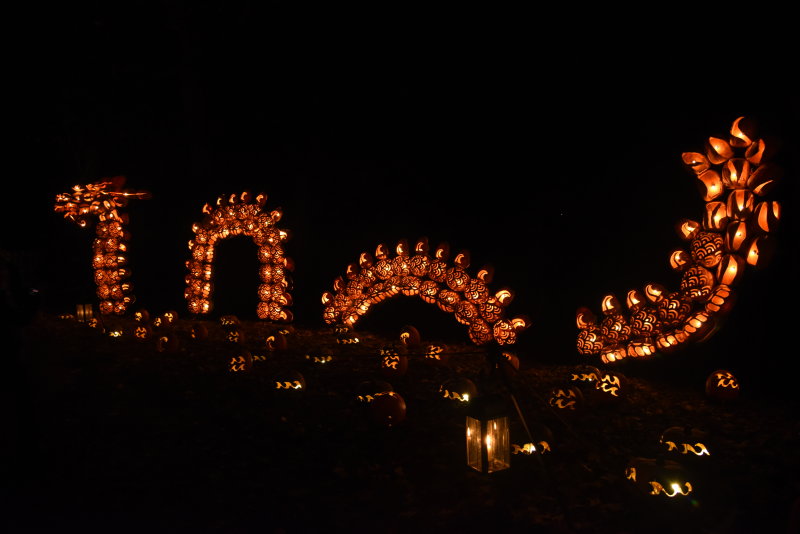DSC_0791.JPG