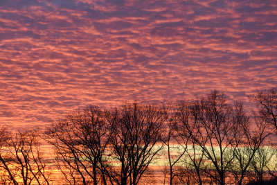 Sunrise